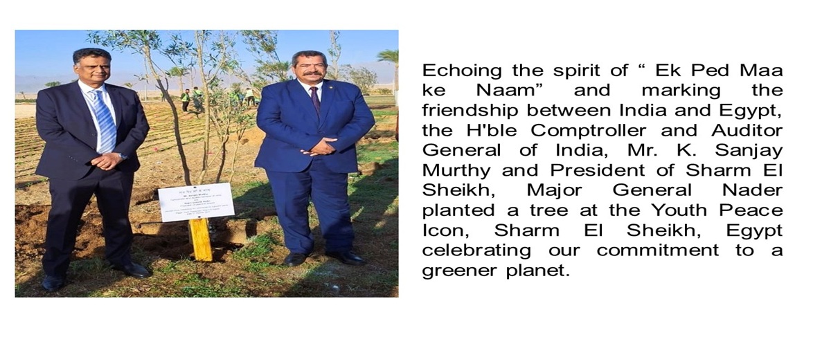 Auditors to the Nation