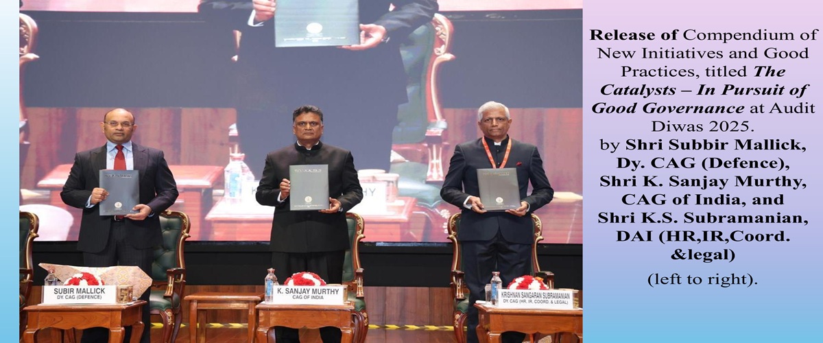 Auditors to the Nation